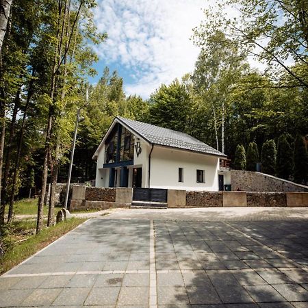 Vila Blanc Valiug Crivaia Exteriör bild