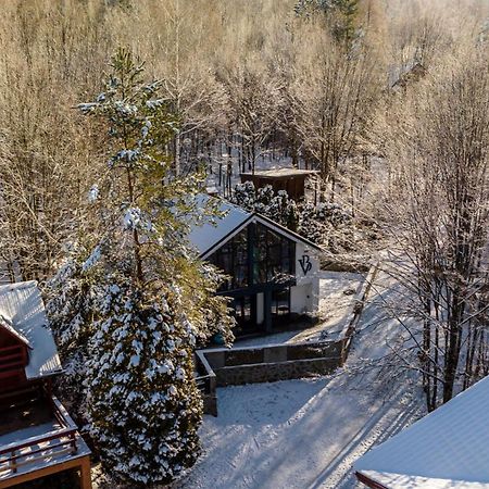 Vila Blanc Valiug Crivaia Exteriör bild