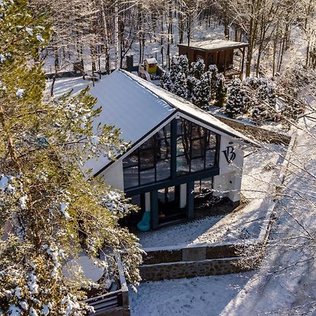 Vila Blanc Valiug Crivaia Exteriör bild