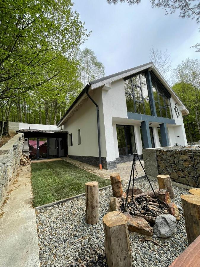 Vila Blanc Valiug Crivaia Exteriör bild