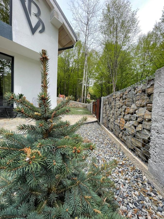 Vila Blanc Valiug Crivaia Exteriör bild