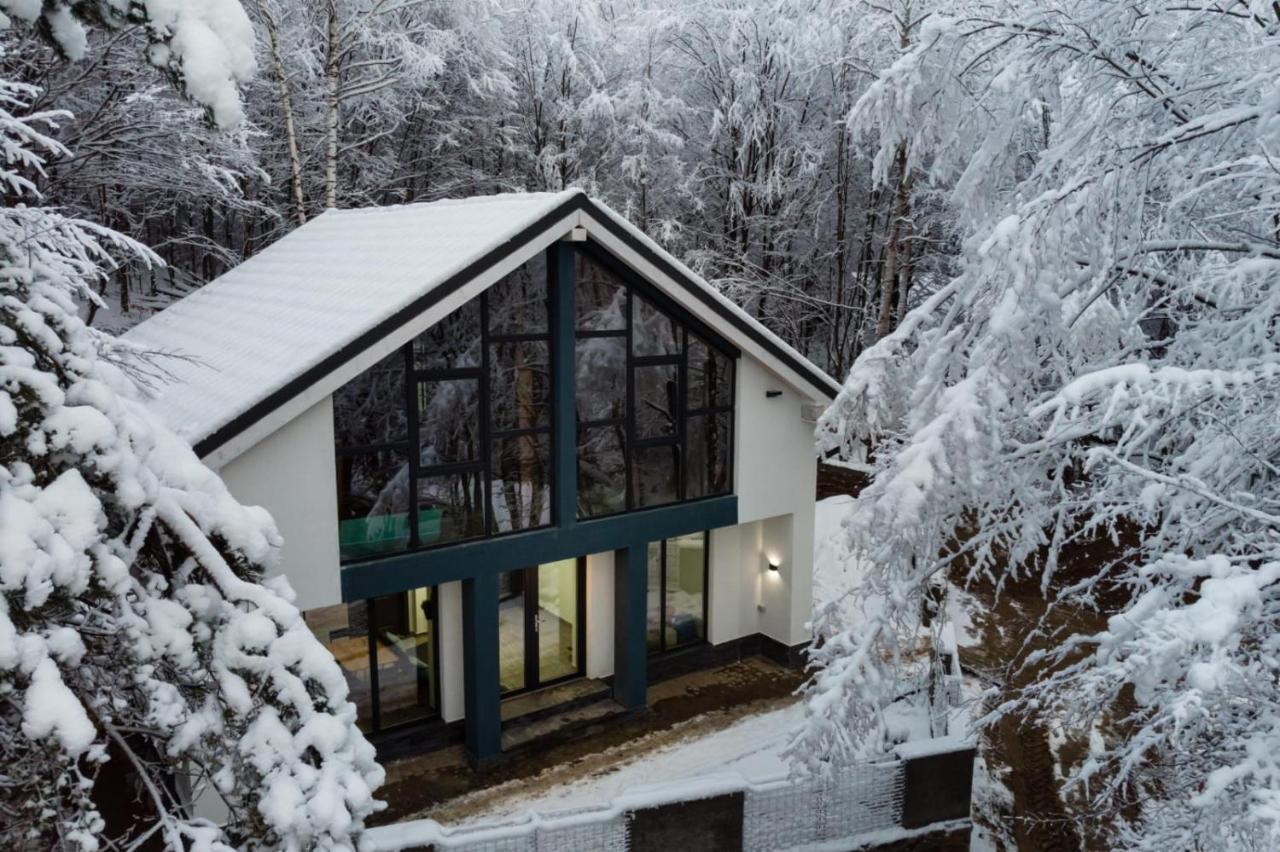 Vila Blanc Valiug Crivaia Exteriör bild
