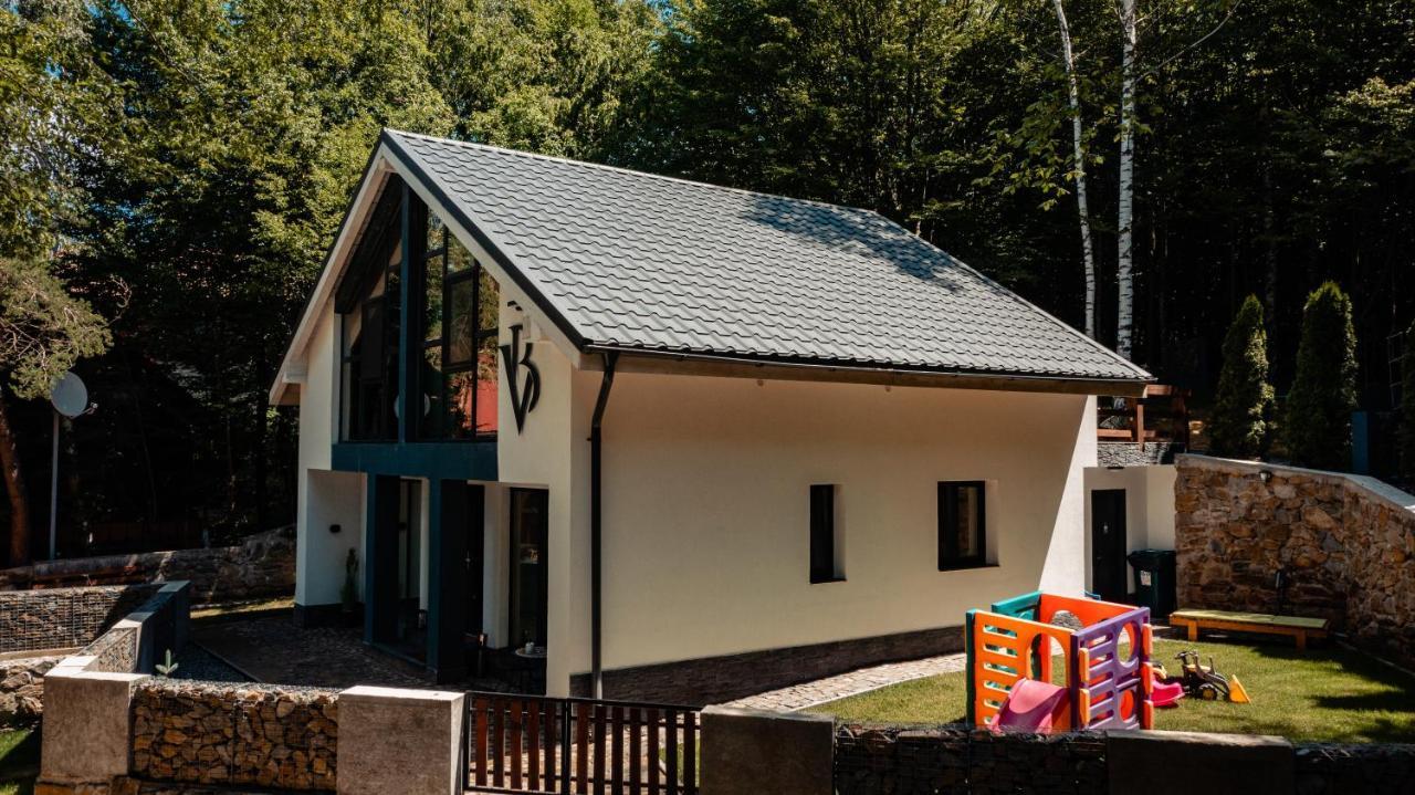 Vila Blanc Valiug Crivaia Exteriör bild