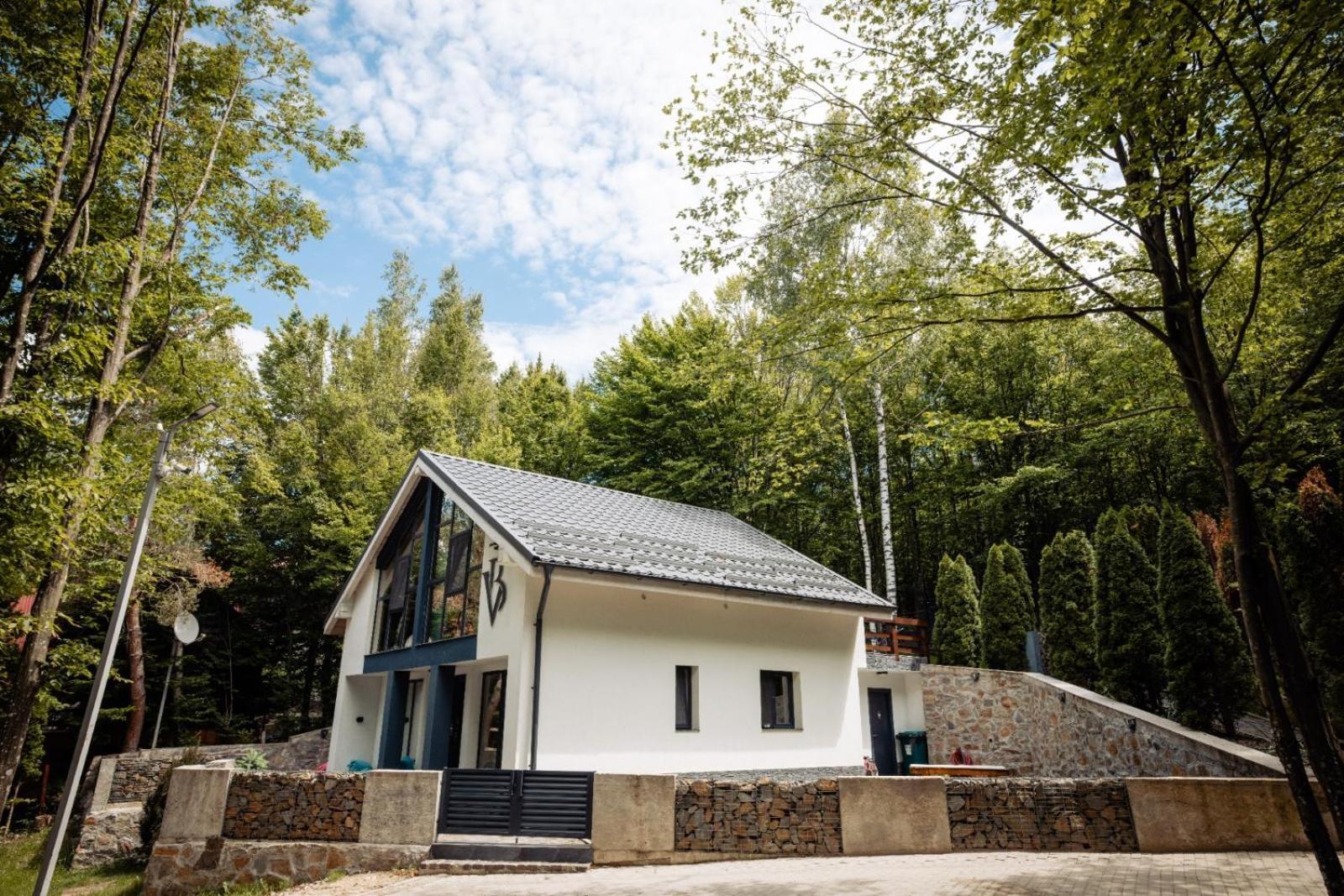 Vila Blanc Valiug Crivaia Exteriör bild