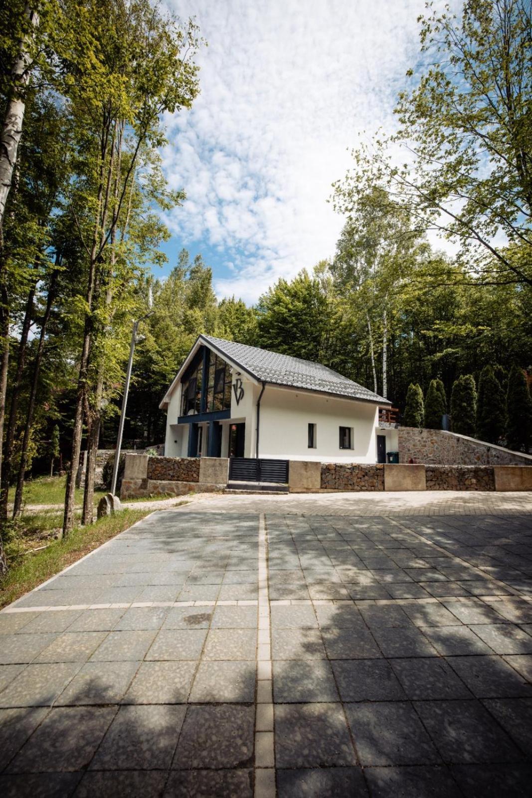 Vila Blanc Valiug Crivaia Exteriör bild