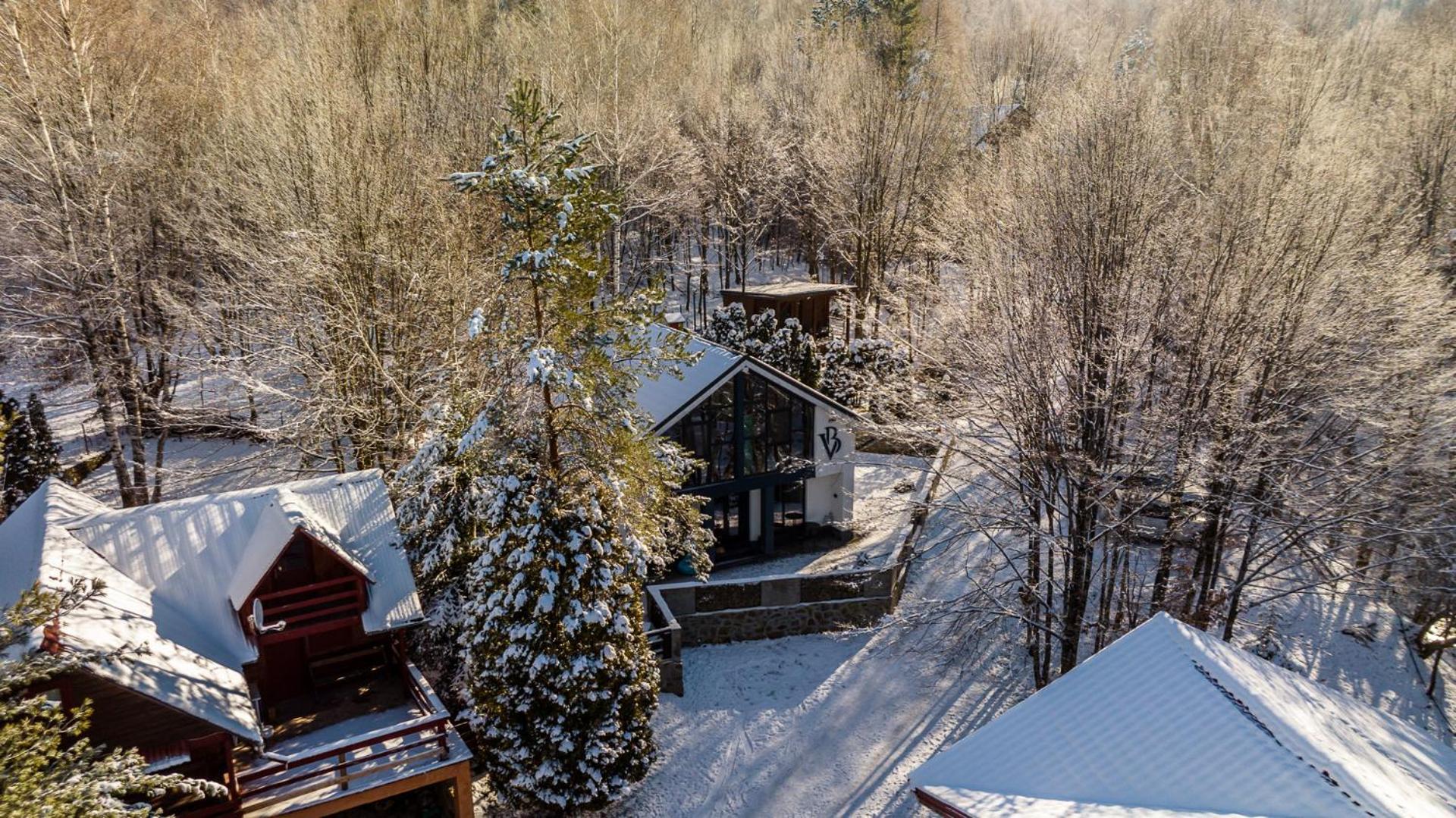 Vila Blanc Valiug Crivaia Exteriör bild